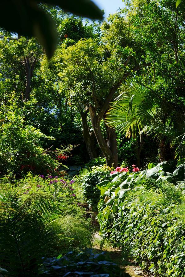 Villa Preziosa Al Pizzo 3 Km Da Sorrento Сант'Аньєлло Екстер'єр фото
